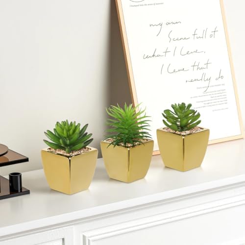 Hollyone Small Succulents Artificial 3 Pcs Faux Succulents with Gold Pots Mini Fake Succulent Plants Indoor Plant Ceramic Pots for Modern Office Desk Bathroom Shelf Living Room Home Decor