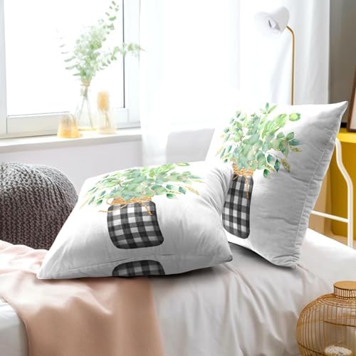 Green Eucalyptus Leaves Pillowcase 18x18 Inch Set of 2 Spring Summer Theme Botanical Print Outdoor Throw Pillow Covers Black White Buffalo Plaid Mason Jar Decorative Cushion Cover for Home Sofa