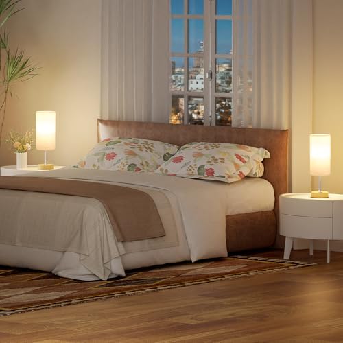 Dicoool Bedside Table Lamp Set of 2-3-Way Dimmable Touch Lamp, USB A+C