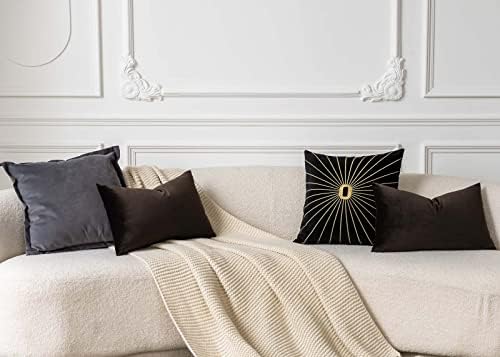 JUSPURBET 12x20 Lumbar Velvet Throw Pillow Covers Set of 2,Coffee