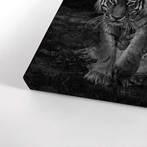 Smile Art Design It's Time to Shine Black and White Tiger Motivational Wall Art Canvas Print Inspirational Wall Art Entrepreneur Quote Modern Office Living Room Decor Gift Ready to Hang 22x15