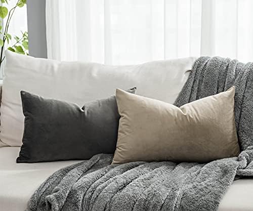 Ash Soft Lumbar Velvet Throw Pillow Covers 16x24 inch Set of 2 for Sofa Couch Bed Living Room Decorative Luxury Solid Rectangle Cushion Covers Case with Zipper