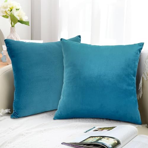RELY+ Pack of 2 Throw Pillow Covers 18x18 Inch Velvet Soft Cozy Solid Decoration Gifts Pillow Covers Luxury Cushion Case for Sofa Couch Bedroom Living Room (Turquise, 18 X 18)