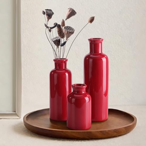 Small Ceramic Vase Set of 3, Boho Modern Flower Vase Room Decor, Farmhouse Decor, Vases for Your Kitchen, Bathroom, Bedroom, Living Room, Office&Shelf Centerpiece Table Decorations, Red
