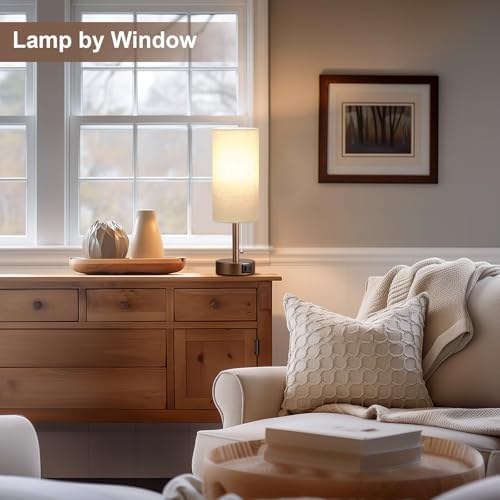 Brown Bedside Lamp for Bedroom Nightstand - Small Table Lamp with USB Ports