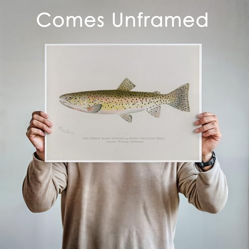 DREAM BIG PRINTABLES Vintage Fish Species Art Prints (Set of 6) - Unframed - 11x14 | Fishing Wall Decor for Fisherman