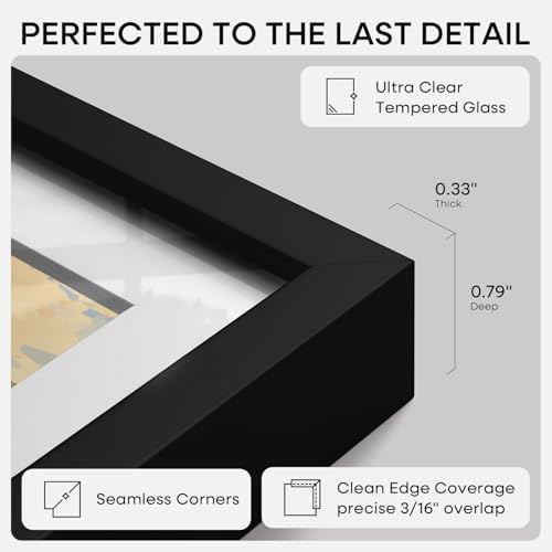 Homeforia 24x24 Black Picture Frame, High-End Metal, 20x20 Mat, Glass
