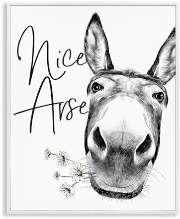 Stupell Industries 'Nice Arse Donkey Pun', Framed Giclee Art, White, 11 x 14 Inches, Easy to Hang and Sturdy, Made in USA, by Lettered and Lined