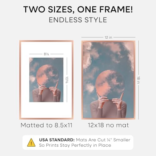 Homeforia 12x18 Rose Picture Frame, High-End Metal, 8.5x11 Mat, Glass