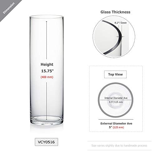 WGV Cylinder Vase, Diameter 5", Height 16", Clear Glass Floral Planter Container, Tall Centerpiece Arrangement for Wedding Party Event Home Office Decor, 1 Piece