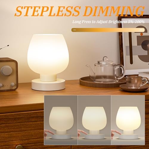 Seealle Cordless Touch Table Lamp for Nightstand - Small Bedside Lamp for Bedroom Night Stands, Desk Lamp with White Glass Shade for Small Spaces Living Room, Stepless Dimmable, LED Bulbs, Gifts