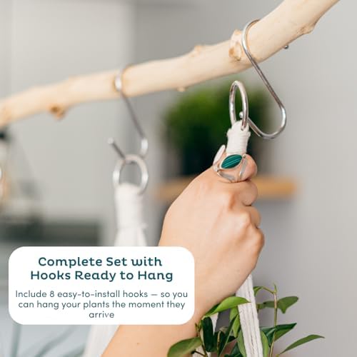 Nook Theory 4-Pack Macrame Plant Hangers with 8 Hooks - Hanging Planters for Indoor Plants, Boho Macrame Hangers Indoor Outdoor, Decorative Plant Hanger Indoor (Pearl)