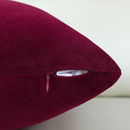 Jeneoo Set of 1 Comfy Accent Soft Velvet Throw Pillow Covers for Sofa Couch, Invisible Zipper Decorative Solid Square Cushion Cases for Livingroom Car (24 x 24 Inches, Burgundy Red)