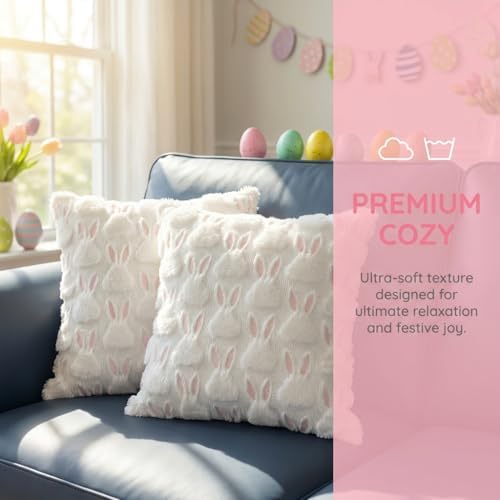 Easter Pillow CoversSet of 2, 18x18,Soft Plush,Hidden Zipper,Machine Wash