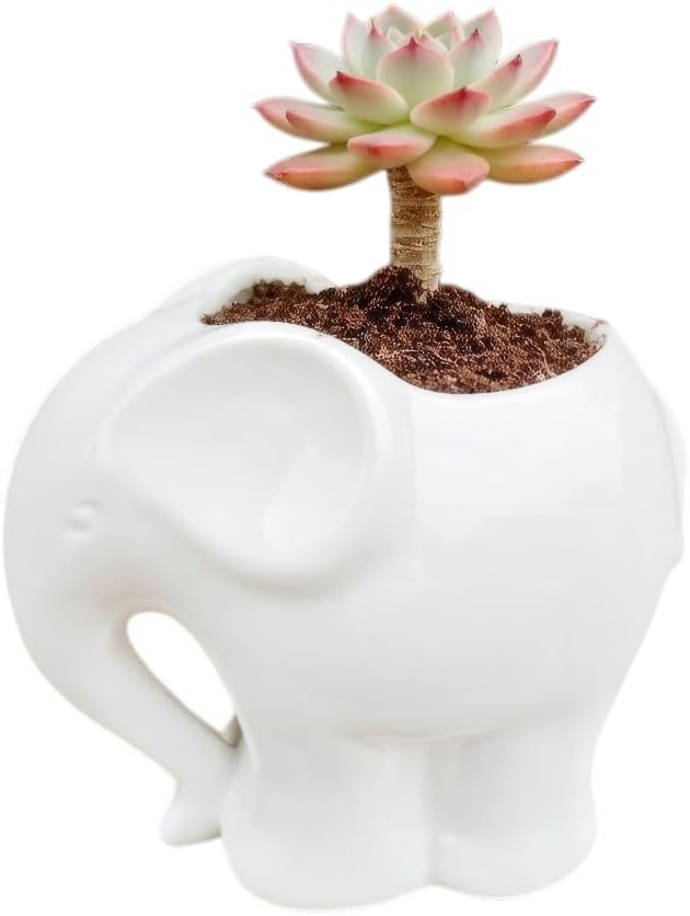 Cute Animal Elephant Shaped Ceramic Succulent Cactus Air Plant Flower Pots Planters-Plant Not Include (4" White)