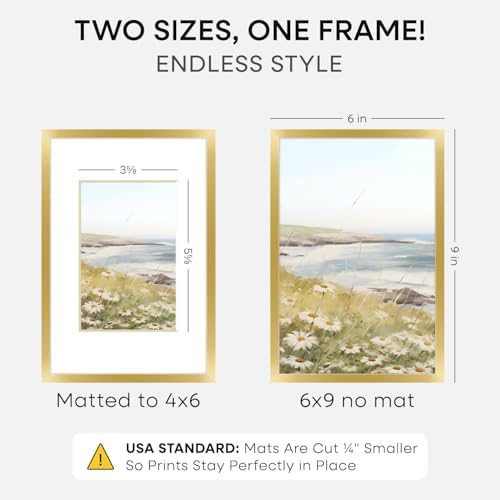Homeforia 6x9 Gold Picture Frame, High-End Metal, 4x6 Mat, Glass