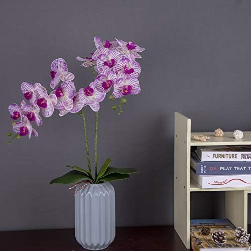 Fnize Orchid Leaves Artificial Phalaenopsis Stems Leaf Real Touch 8" 2pcs