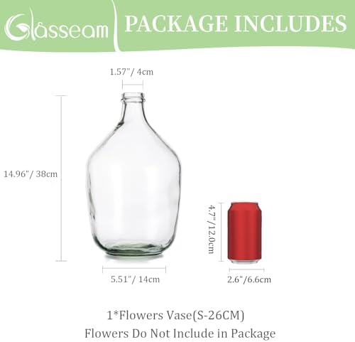 Glasseam Large Demijohn Clear Glass Vase for Pampas Grass, 15 Inch Tall | Oversized Big Jug Vase for Eucalyptus Branches, Greenery, Flowers, Farmhouse Decor, Living Room Home Decorations