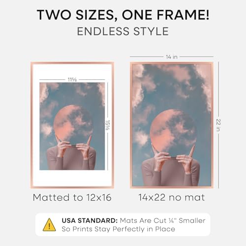 Homeforia 14x22 Rose Picture Frame, High-End Metal, 12x16 Mat, Glass