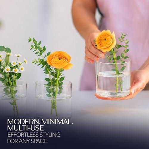 Royal Imports Glass Cylinder Flower Vase 4" Wide x 4" Tall, Clear | Cylinder Vases for Centerpieces for Tables, Floating & Votive Candle Holders Wedding Decor, Storage, Home & Event Decorations