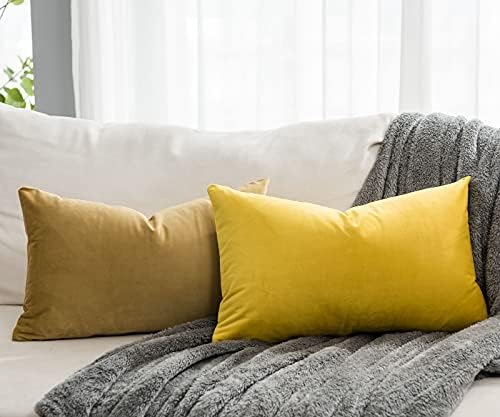 Lemon Decorative Lumbar Velvet Throw Pillow Covers 12x20 inch Set of 2 with Zipper Luxury Soft Solid Rectangle Cushion Covers Case for Sofa Couch Bed Living Room
