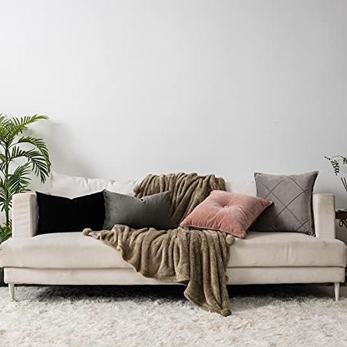 Ash Soft Lumbar Velvet Throw Pillow Covers 16x24 inch Set of 2 for Sofa Couch Bed Living Room Decorative Luxury Solid Rectangle Cushion Covers Case with Zipper
