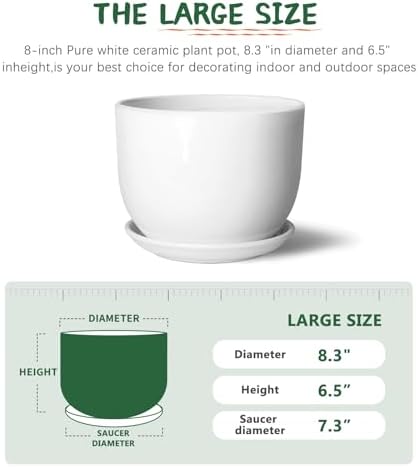 8 Inch Ceramic Planter, Plant Pots with Drainage Hole and Separable Saucer,Indoor-Outdoor Round Succulent Orchid Flower Pot,Indoor pots for Plants(White,Plant Pot only)