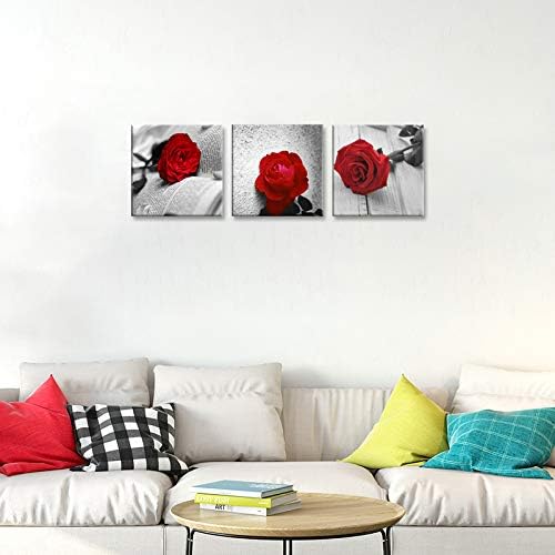 NAN Wind 3 Pcs Modern Canvas Painting Black and White Red Rose Canvas Art Abstract Wall Art Decorations Flower Picture on Canvas for Home Decor (14X14inchX3Pcs, B-Rose)