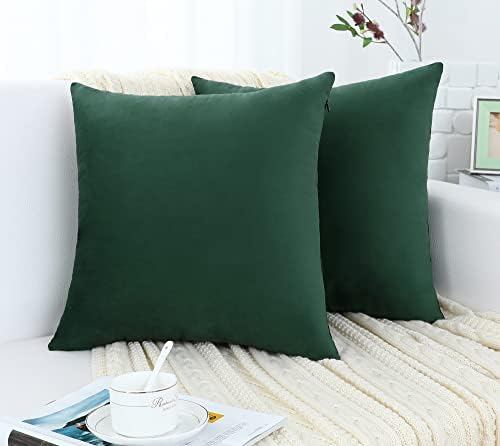 Jeneoo Comfy Soft Thick Velvet Throw Pillow Covers Decorative Solid Square Couch Cushion Cases for Bedroom Sofa Car Decor (Hunter Green, 16 x 16 Inches, 2 Pieces)