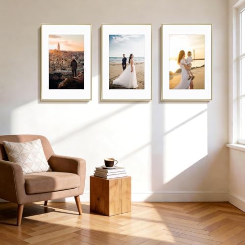 Golden State Art 16x24 Gold Aluminum Frame, Real Glass, Mat Fits 12x18