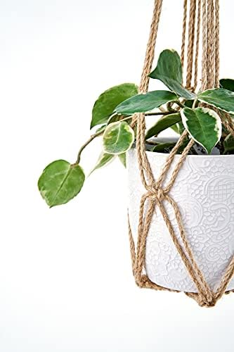 Dahey Macrame Plant Hanger Indoor Hanging Plant Holder Planter, Set of 3