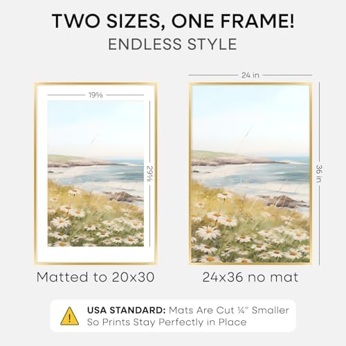 Homeforia 24x36 Gold Poster Frame, High-End Metal, 20x30 Mat, Glass