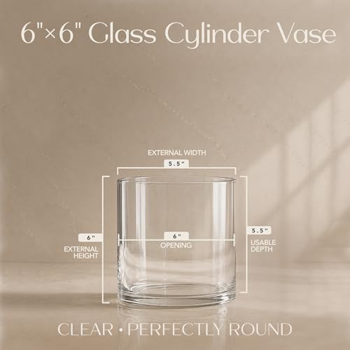 Royal Imports Glass Cylinder Vase 6"x 6" Tall (5.5" Usable Depth) | Cylinder Vases for Centerpieces for Tables, Floating & Votive Candle Holders Wedding Decor, Storage, Home & Event Decorations