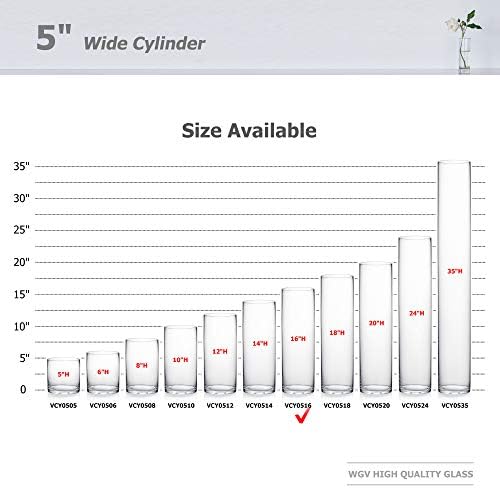WGV Cylinder Vase Bulk, Diameter 5", Height 16", Clear Glass Floral Planter Container, Tall Centerpiece Arrangement for Wedding Party Event Home Office Decor, 6 Pieces