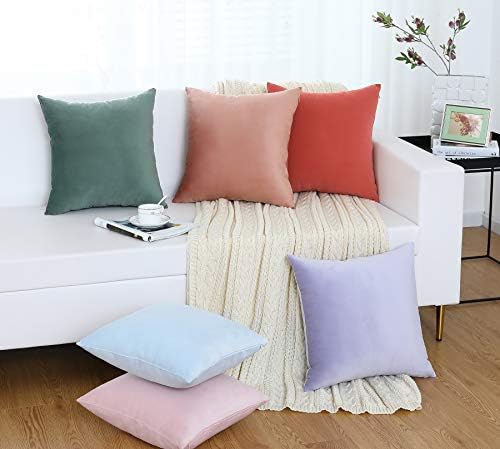 Jeneoo Velvet Throw Pillow Covers 16x16 Inch 2 Pack, Super Soft Thick Decorative Square Cushion Cases for Sofa Couch Bedroom Car, Dusty Rose