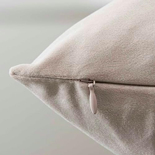 JUSPURBET 16x24 Lumbar Velvet Throw Pillow Covers Set of 2,Cloud