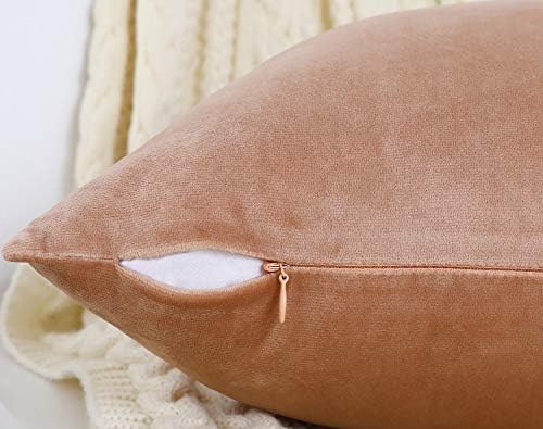 Jeneoo Set of 2 Comfy Soft Velvet Throw Pillow Covers for Sofa Couch Invisible Zipper Decorative Solid Square Cushion Cases for Bedroom Car (16 x 16 Inches, Blush Rose)