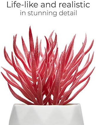 Nordik Set of 4 Desk Plants - Office Decor for Women Desk, Indoor, Living Room, Bedroom, Home and Desk Decor – Pink Faux Succulents in white Geometric Ceramic Planters