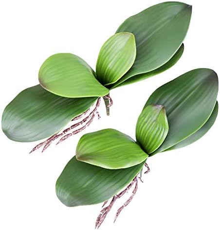 Fnize Orchid Leaves Artificial Phalaenopsis Stems Leaf Real Touch 8" 2pcs