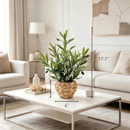 AlphaAcc Fake Potted Plant Small Olive Water Hyacinth Mediterranean Decor