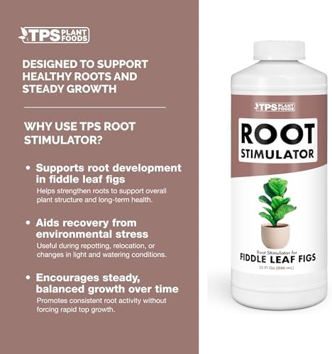 Root Stimulator for Fiddle Leaf Fig, Liquid Root Supplement + Kelp, 8 oz