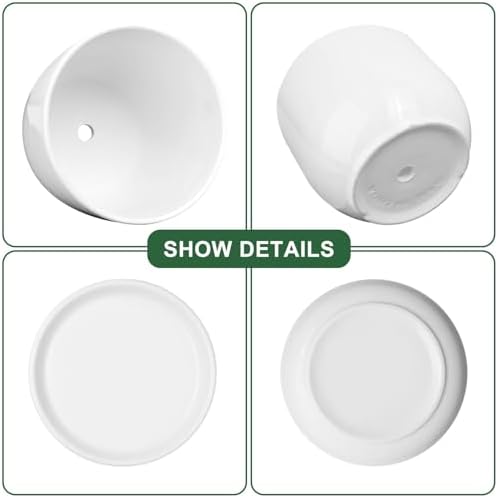 Ceramic Plant Pots,White 5.5 Inch Flower Pots for Plants,Ceramic Planter with Drainage Holes,Indoor Planter Pots with Saucer,Outdoor Garden Pots (White, 4 Pack)