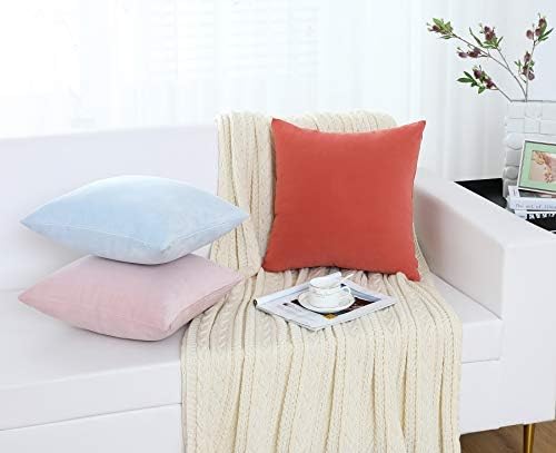 Jeneoo Set of 2 Decorative Throw Pillow Covers Soft Velvet Comfy Solid Couch Cushion Cases for Livingroom Bed Sofa Decor (Sky Blue, 18 x 18 Inches)