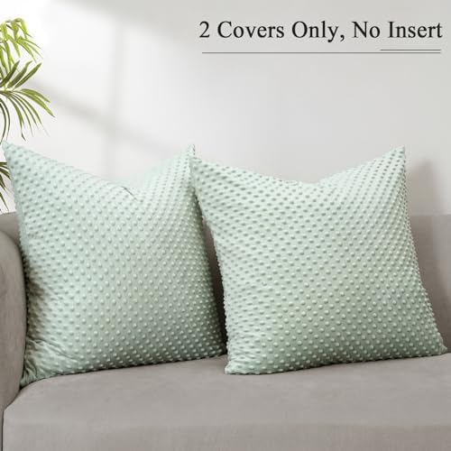 PHF Minky Dot Euro Sham Covers 26"x 26", 2 Pack Soft Cozy Minky Bubble Real Velvet Throw Pillow Covers, No Insert, Home Decorative Euro Pillow Cases for Couch Sofa Bed, Sage Green