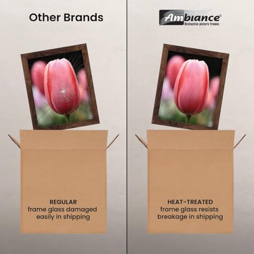 Ambiance Break-Resistant Picture Frame Glass and Backing 24"X24" for Replacement or Empty Frames, 2mm Thick, Rounded Edges for Safe Handling, White Corrugated Cardboard