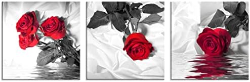 NAN Wind Canvas Print 3 Pcs Black and White Red Rose Canvas Art Painting Abstract Wall Art Decorations Flower Picture on Canvas for Home Decor Stretched and Framed (14X14inchX3pcs, Red Rose)
