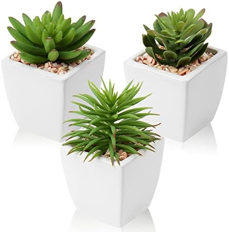 Hollyone Small Faux Succulents in White Ceramic Pot 3Pcs Artificial Succulents Fake Plant Gifts Home Decor Accents Centerpieces Bathroom Decor Mum Gifts Greenery Decoration Succulents Wedding