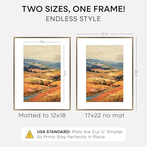 Homeforia 17x22 Bronze Picture Frame, High-End Metal, 12x18 Mat, Glass