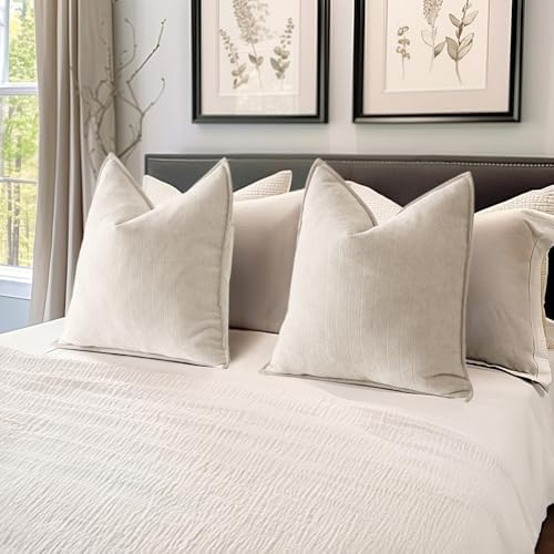 MIULEE Pack of 2 Cream Beige Decorative Chenille Pillow Covers 20x20 Inch