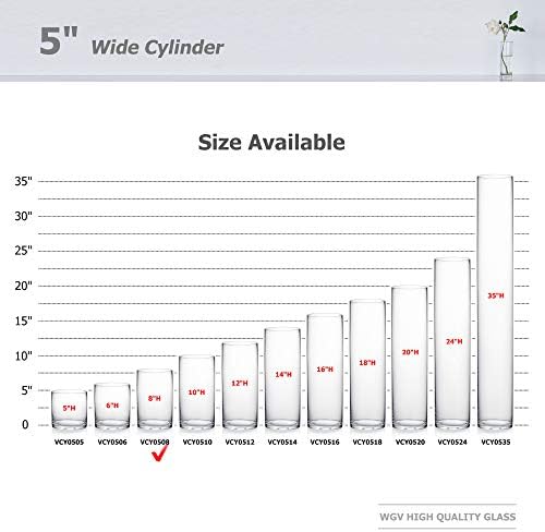 WGV Cylinder Vase Bulk, Diameter 5", Height 8", Clear Glass Floral Planter Container, Floating Candle Holder for Wedding Party Event Home Office Decor, 12 Pieces
